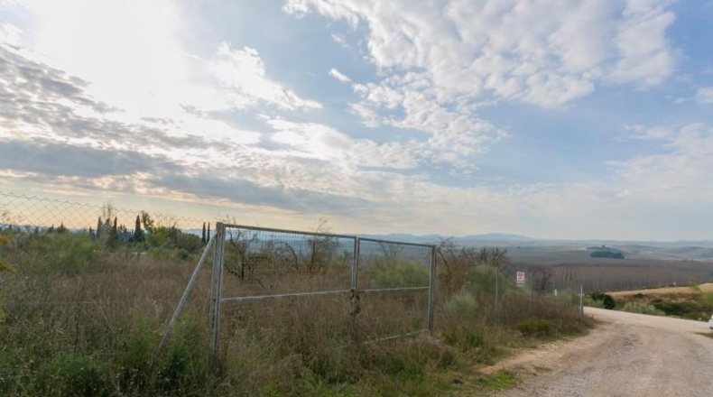 Granada - Pinos Puente - 7039m2