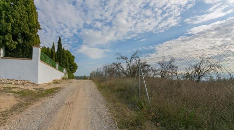 Granada - Pinos Puente - 7039m2
