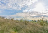 Land suitable for development for sale on España, Pinos Puente, ref: TR220828 photo