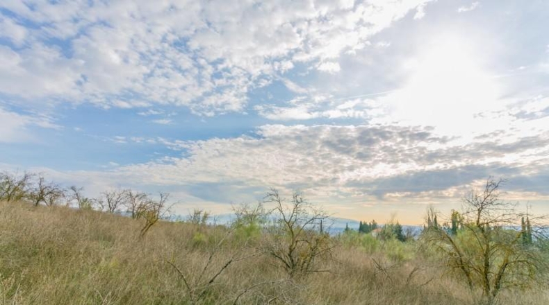Granada - Pinos Puente - 7039m2