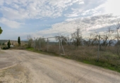 Land suitable for development for sale on España, Pinos Puente, ref: TR220828 photo