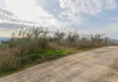 Land suitable for development for sale on España, Pinos Puente, ref: TR220828 photo