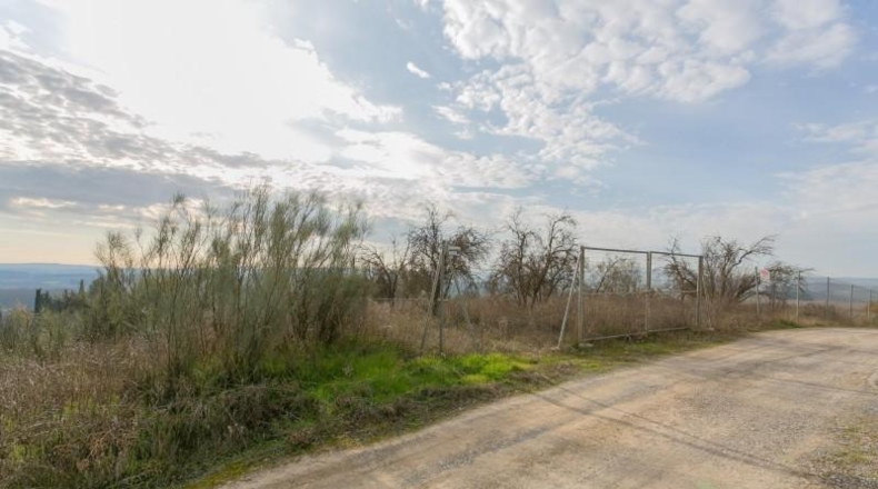 Granada - Pinos Puente - 7039m2