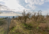 Land suitable for development for sale on España, Pinos Puente, ref: TR220828 photo
