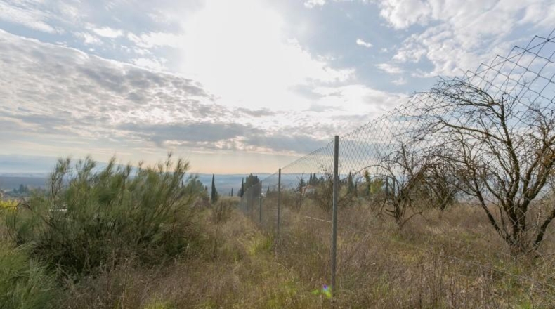 Granada - Pinos Puente - 7039m2