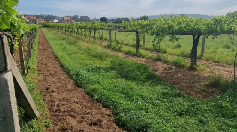 Pontevedra - Sanxenxo - 1062m2