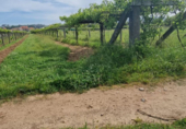 Non-developable land for sale on España, Sanxenxo, ref: TR117759 photo