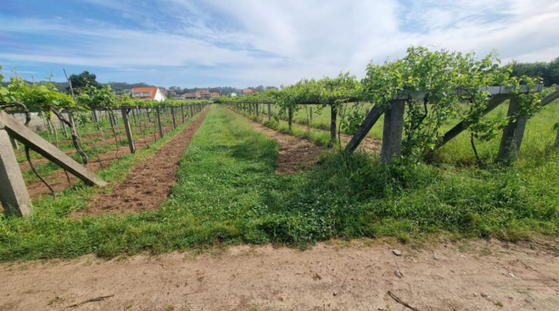 Pontevedra - Sanxenxo - 1062m2