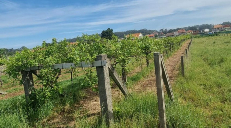 Pontevedra - Sanxenxo - 1062m2