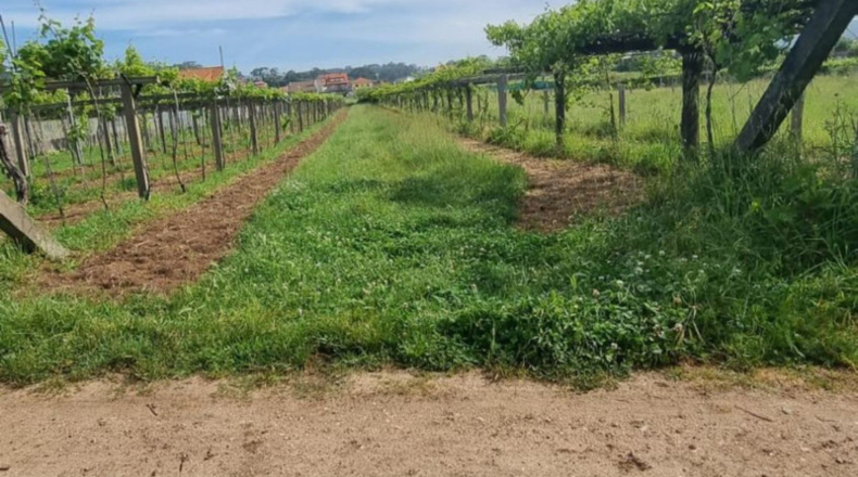 Pontevedra - Sanxenxo - 1062m2