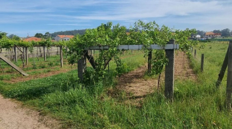 Pontevedra - Sanxenxo - 1062m2