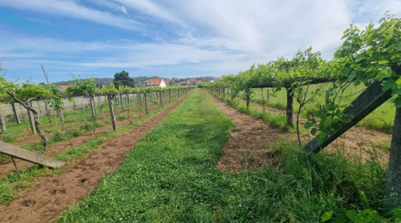 Pontevedra - Sanxenxo - 1062m2