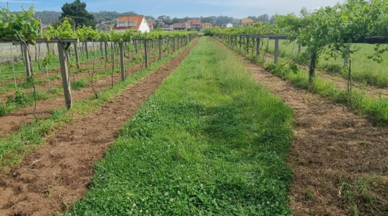 Pontevedra - Sanxenxo - 1062m2
