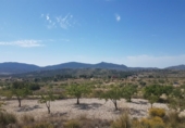 Vil·la amb terreny en venda a la España, el Fondó de les Neus, ref.: TR301833 foto