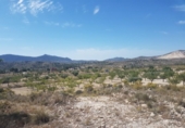 Vil·la amb terreny en venda a la España, el Fondó de les Neus, ref.: TR301833 foto