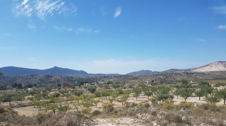 Alicante - Hondón de las Nieves - 17300m2