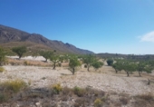 Vil·la amb terreny en venda a la España, el Fondó de les Neus, ref.: TR301833 foto