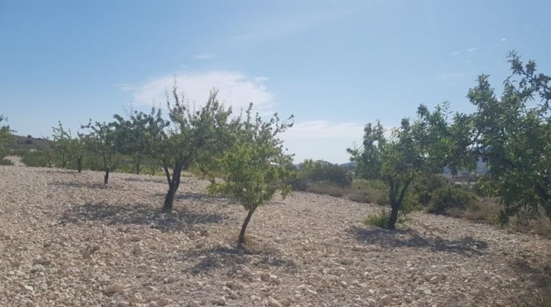 Alicante - Hondón de las Nieves - 17300m2