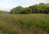 Non-developable land for sale on España, Santa María de Cayón, ref: TR117858 photo