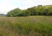 Non-developable land for sale on España, Santa María de Cayón, ref: TR117858 photo
