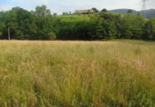 Non-developable land for sale on España, Santa María de Cayón, ref: TR117858 photo
