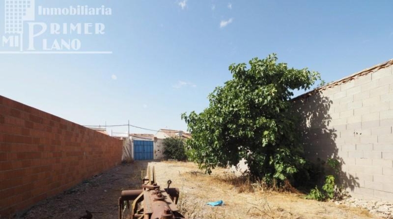 Ciudad Real - Argamasilla de Alba - 244m2
