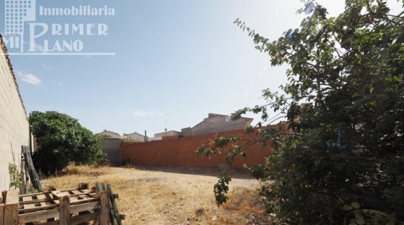 Ciudad Real - Argamasilla de Alba - 244m2