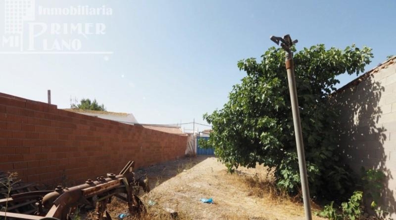 Ciudad Real - Argamasilla de Alba - 244m2