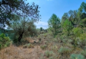 Detached villa with land for sale on España, Arens de Lledó, ref: TR329463 photo