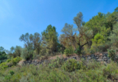Detached villa with land for sale on España, Arens de Lledó, ref: TR329463 photo