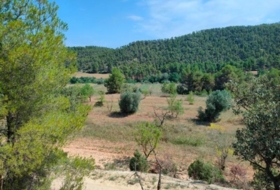 Arens de Lledó 35300&nbsp;m²