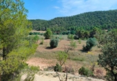 Detached villa with land for sale on España, Arens de Lledó, ref: TR329463 photo