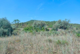 Arens de Lledó 35300&nbsp;m²