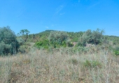 Detached villa with land for sale on España, Arens de Lledó, ref: TR329463 photo
