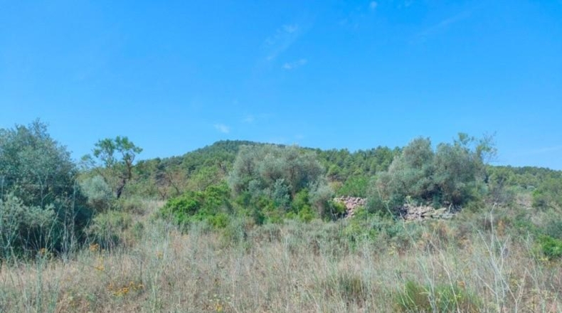 Teruel - Arens de Lledó - 35300m2