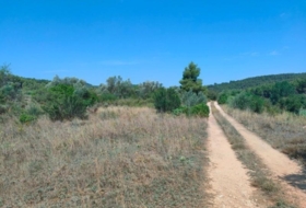 Arens de Lledó 35300&nbsp;m²