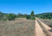 Detached villa with land for sale on España, Arens de Lledó, ref: TR329463 photo