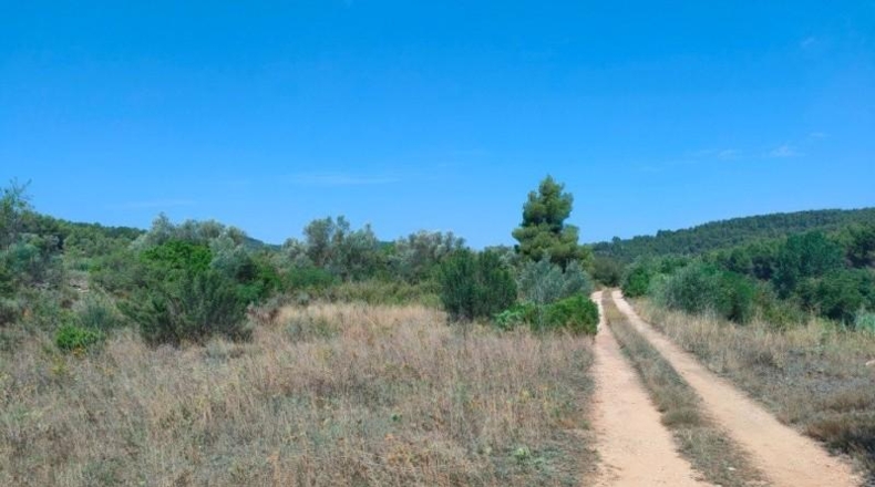 Teruel - Arens de Lledó - 35300m2