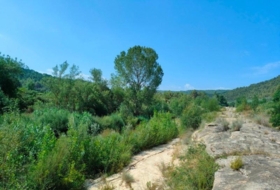 Arens de Lledó 35300&nbsp;m²
