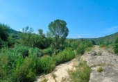 Detached villa with land for sale on España, Arens de Lledó, ref: TR329463 photo