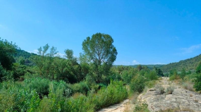 Teruel - Arens de Lledó - 35300m2
