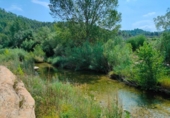 Detached villa with land for sale on España, Arens de Lledó, ref: TR329463 photo