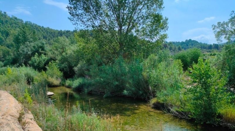 Teruel - Arens de Lledó - 35300m2