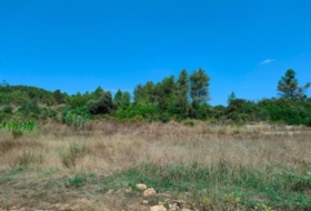 Arens de Lledó 35300&nbsp;m²