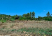 Detached villa with land for sale on España, Arens de Lledó, ref: TR329463 photo