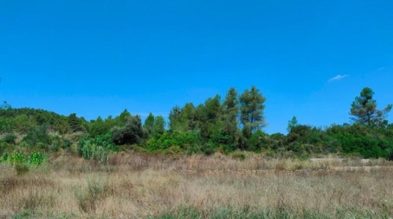 Teruel - Arens de Lledó - 35300m2