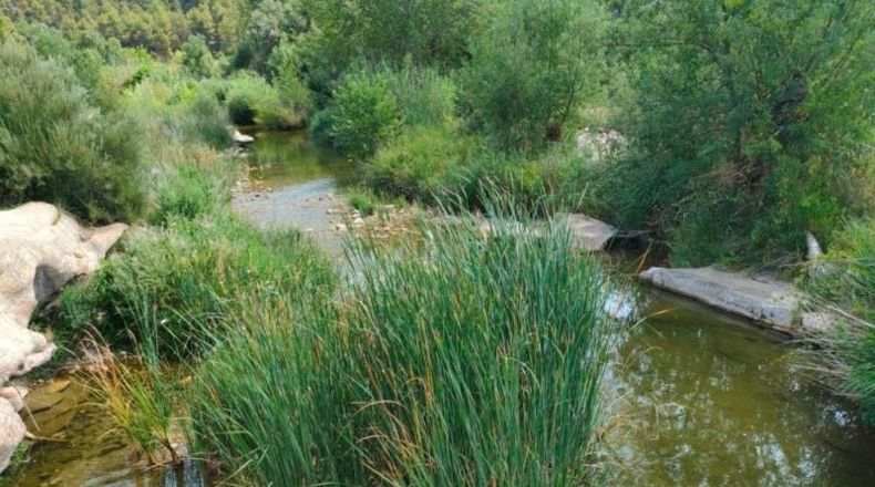 Teruel - Arens de Lledó - 35300m2