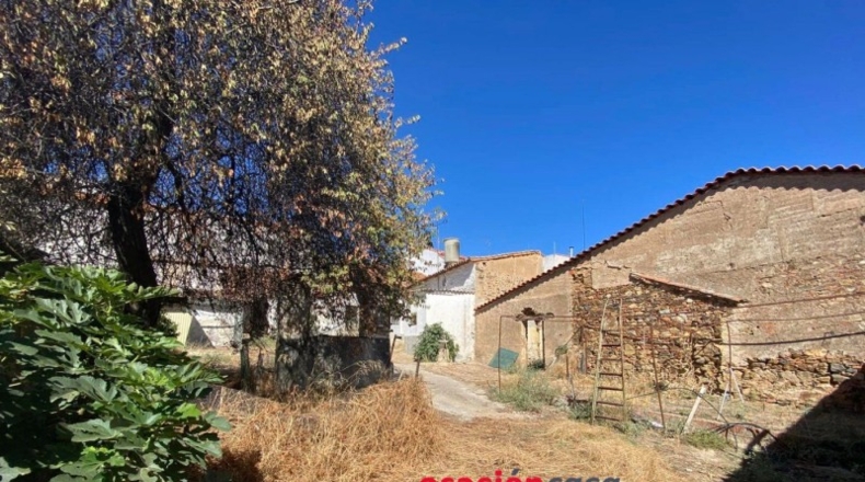 Cordova - Villanueva del Rey - 600m2
