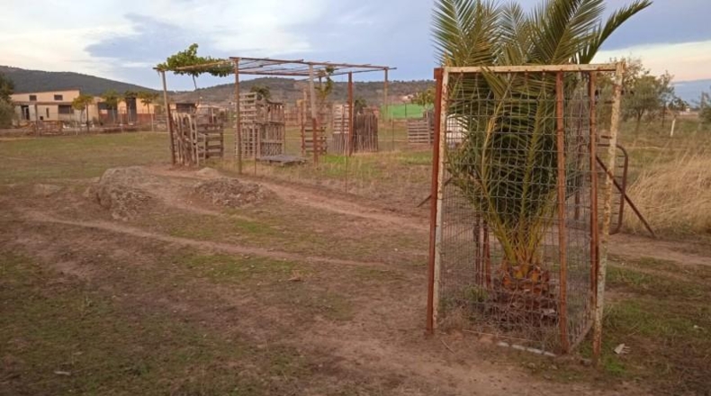 Cáceres - Sierra de Fuentes - 3200m2