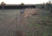 Non-developable land for sale on España, Sierra de Fuentes, ref: TR116367 photo